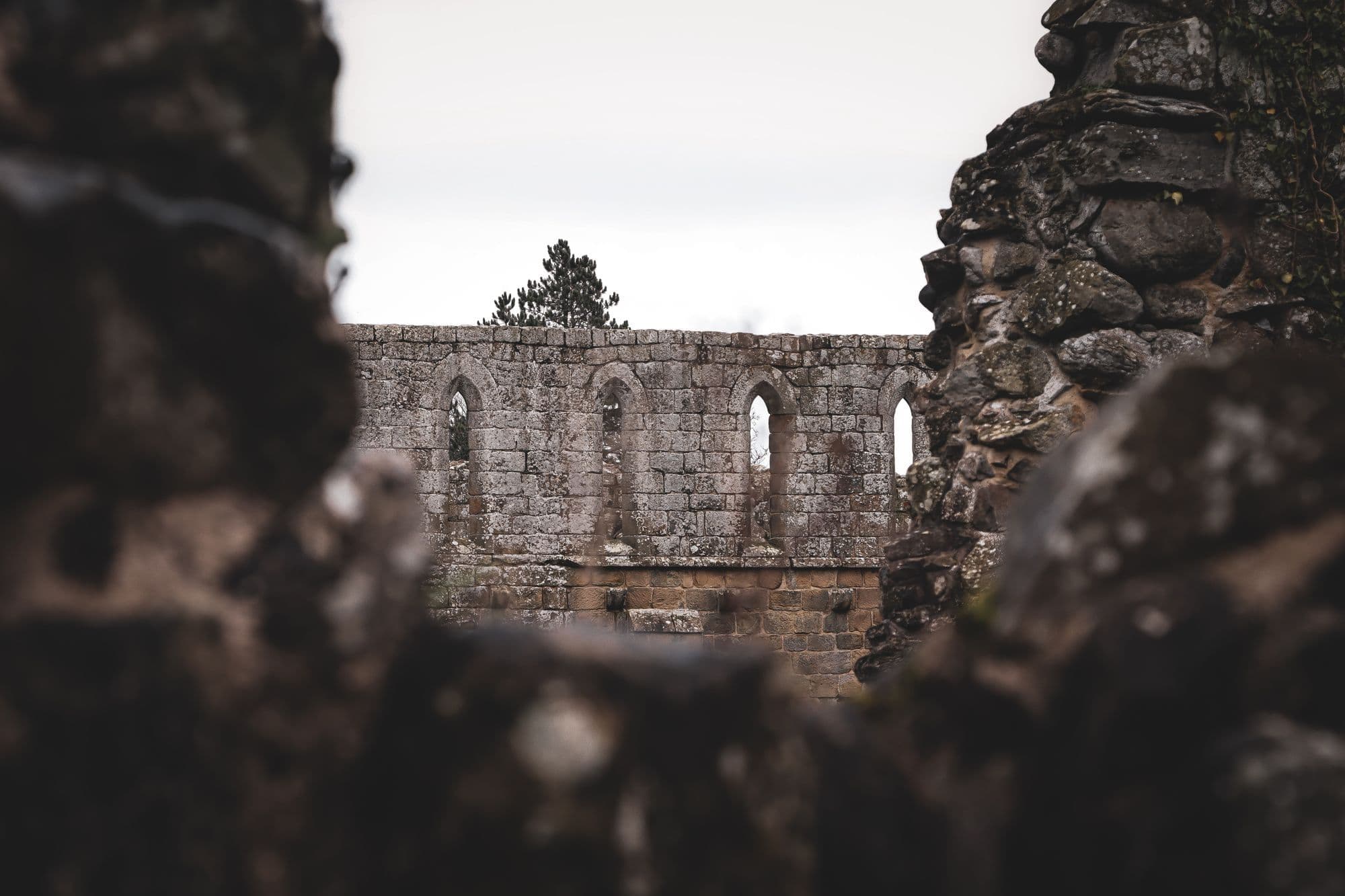 The lancet-windowed walls of Jervaulx Abbey, seen through a gap in the weathered stone of the ruins.