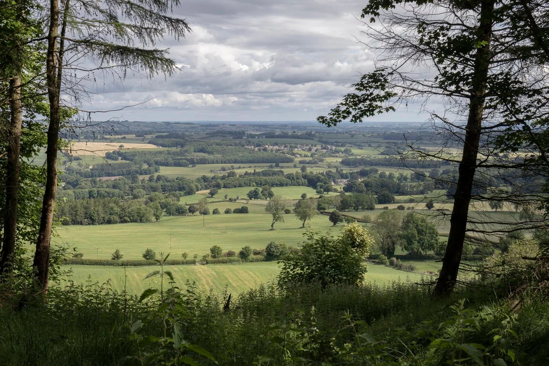 The Wensleydale valley through the trees at the edge of the cabins’ forest